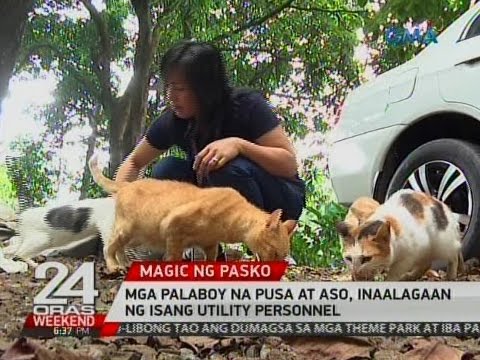 Kung magkano kg maaari kang mawalan ng timbang sa isang linggo paggawa ng fitness Maliwanag na calories para sa pagbaba ng timbang