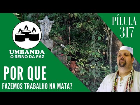 #317 - Pilula  de Umbanda - Por que fazemos trabalho na mata?