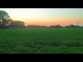 Nature Beauty Village Nature Beauty Whatsapp Status For Village Claimant Dkr7790