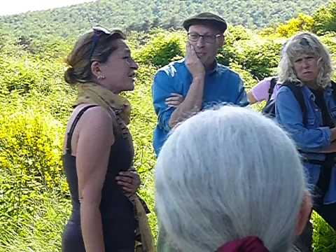 Stornelli toscani, La Leggera