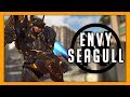 EnVy Seagull Owning Hollywood