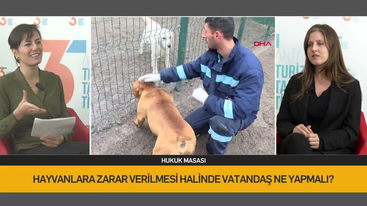 Hukuk Masası yayında: Hayvanlar için adalet mümkün mü?