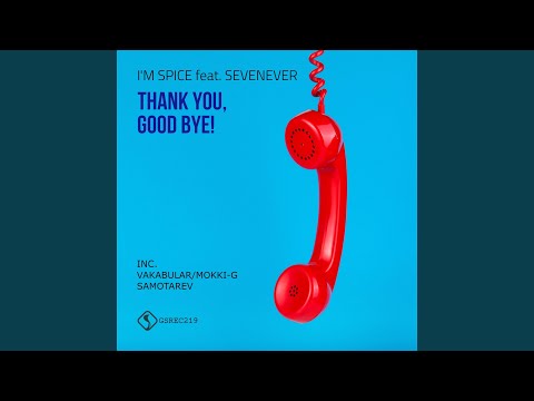 Thank You, Good Bye! feat. SevenEver (Vakabular Remix)