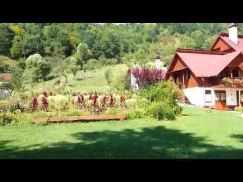 Pensiunea Doina -Vadu Izei