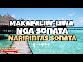 MOST REQUESTED ILOCANO LOVE SONGS 2024/NAPIPINTAS NGA SONATA/ILOCANO TRENDING/MSCRAFTY