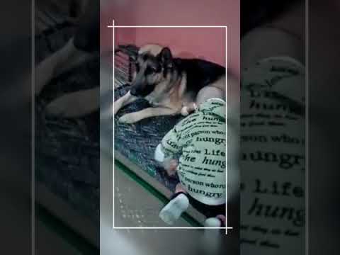 A moment with my cute 🐕