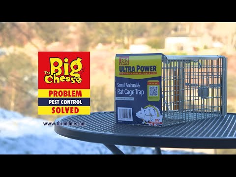 (Live Catch and Release) Catch Alive Small Animal & Rat Cage Trap STV075