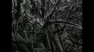 FRANK ZAPPA -- THIS IS A TEST & 9/8's OBJECTS