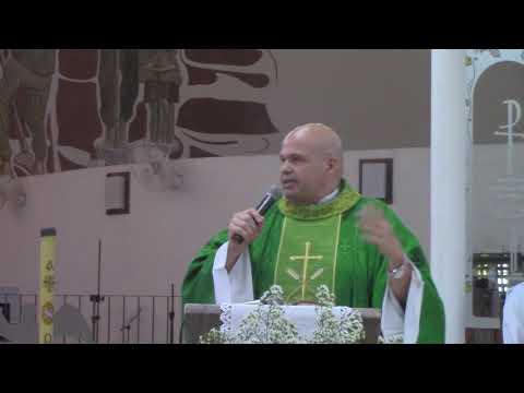 Homilia 17º Domingo do Tempo Comum. ANO A.  26/07/2020