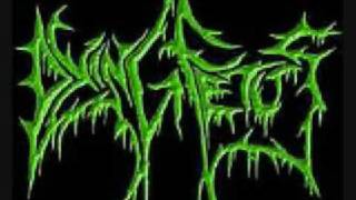 Dying Fetus - Wretched Flesh Consumption