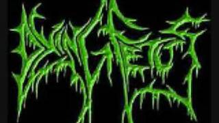 Dying Fetus - Wretched Flesh Consumption