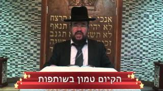 פרשת תרומה – הקיום טמון בשותפות