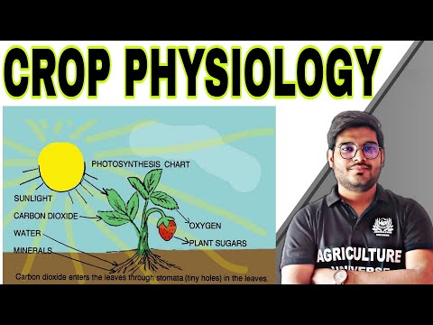 what is Crop physiology crop physiology kya hai crop physiology bsc ag second semester