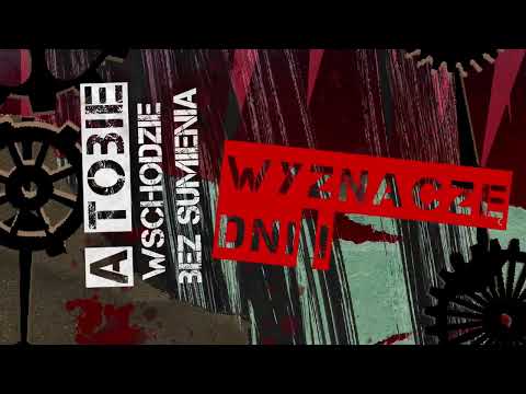 Realizacja MZx Studio