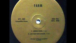 Farm – Very Rare USA 1971 Privately Pressed Rock LP on Crusade Enterprises £500