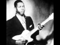 Elmore James-Madison Blues