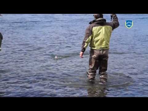 GRAN CANTIDAD DE PESCADORES SE ACERCARON AL RIO CORRENTOSO EN LA APERTURA DE PESCA