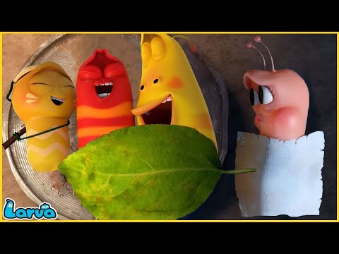 LARVA SEASON 3 EPISODE 416 ~ 520 🍟 NEST VERSION LARVA | MINI SERIES FROM ANIMATION LARVA