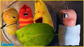 Download lagu LARVA SEASON 3 EPISODE 416 ~ 520 🍟 NEST VERSION LARVA | MINI SERIES FROM ANIMATION LARVA mp3