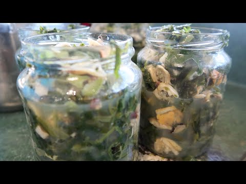 How To Make Healthy PUHA & MUSSEL Toroi Easy Recipe!