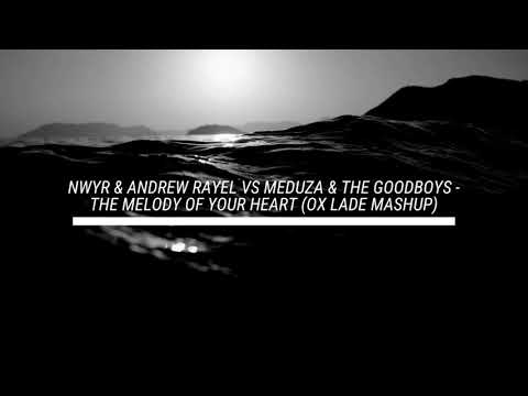 NWYR & Andrew Rayel vs Meduza & The Goodboys   The Melody Of Your Heart