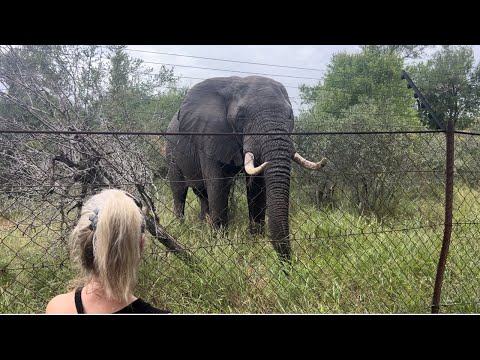 Two Months in The Kruger National Park | Episode 6