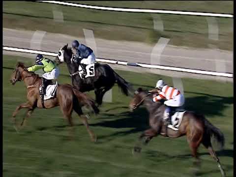 Galoppo 28/12/2019 - 1ª corsa