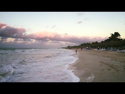 Brenda Mullen | VLOG | Cuba  🐚🌊✨🦈🌙🇨🇺