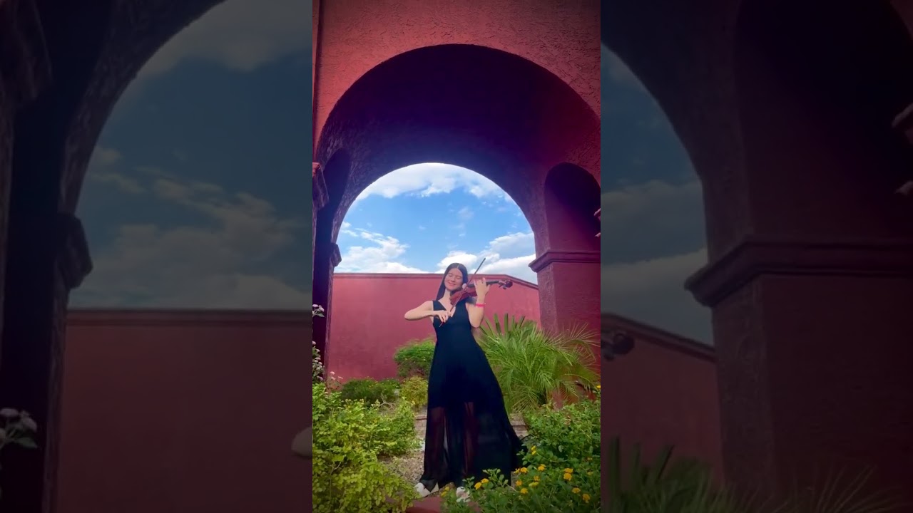 Promotional video thumbnail 2 for Alona's Elegant Violin