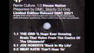 The Orb - A Huge Ever Growing Pulsating Brain That Rules From The Ultraworld (Starecase Remix)