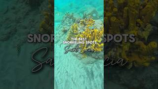 The best snorkeling spots in Saint Lucia 🇱🇨🩵🪸 #saintlucia #stlucia #caribbeantravel