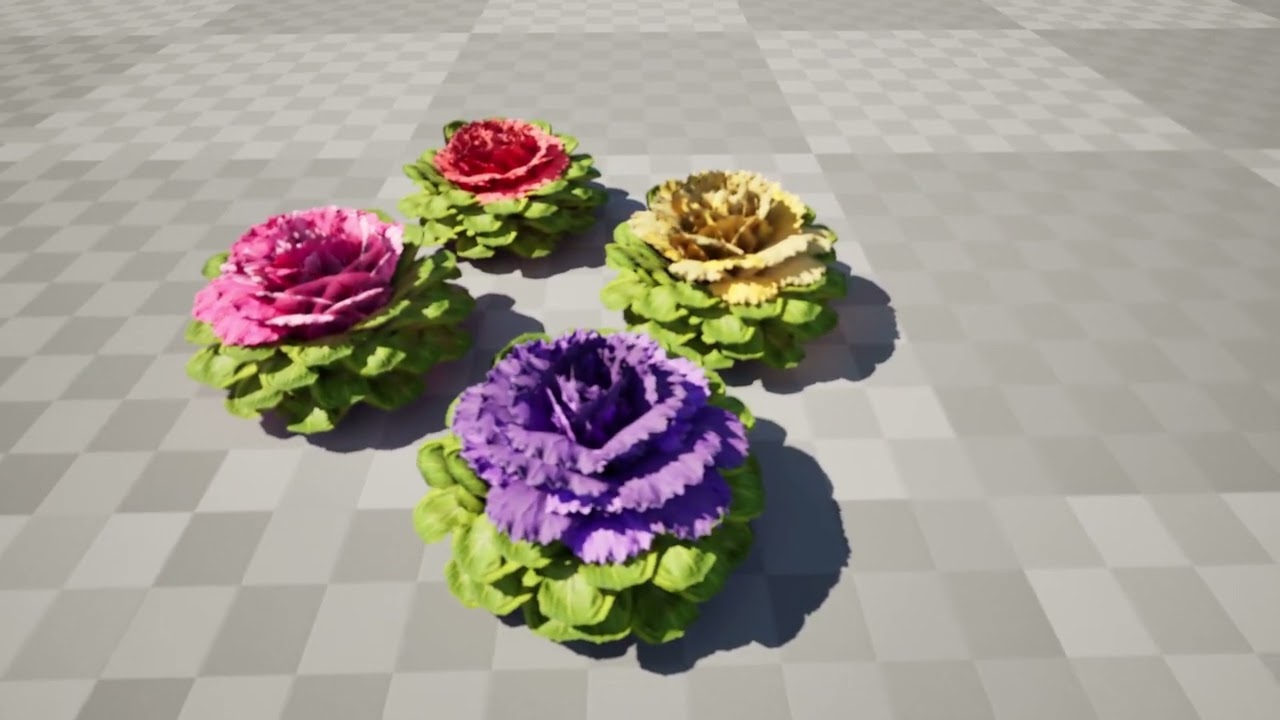 Bunga Kubis Model 3D