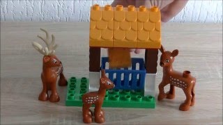 LEGO Duplo Лес: парк (10584) - відео 5