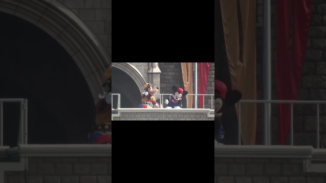 可愛いミッキーとグーフィー（TDLクール・ザ・ヒート）