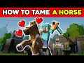 Minecraft How To Tame A Horse
