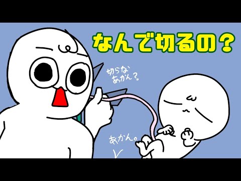 へその緒について詳しく解説