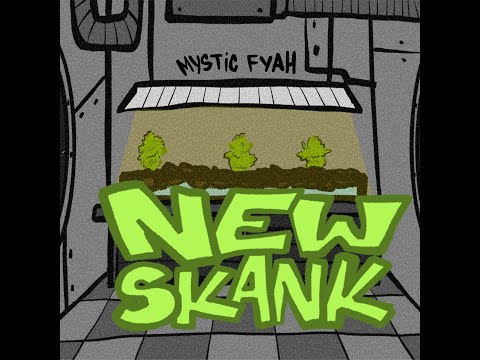 MYSTIC FYAH - NEW SKANK