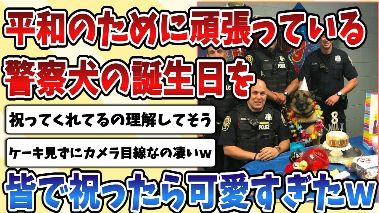 【2ch動物スレ】平和のためにいつも頑張っている【警察犬】のお誕生日をみんなで祝ったら可愛すぎたｗｗｗ