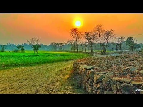 Naeem Nature is live!