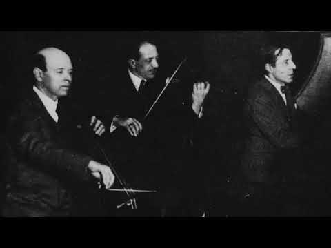 Schubert, Trio No.1 e 2, | Casals, Thibaud, Cortot, Trio Wanderer