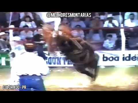 JOEDER CAMPOS SALES X PÉROLA NEGRA - RODEIO DE COLORADO #rodeio #rodeo #cutiano