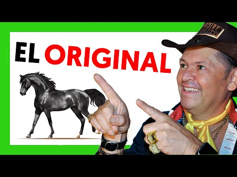 🤠 TORDILLO NEGRO - Tordillo Negro (Video Oficial)