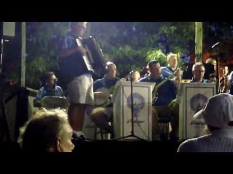 Fralinger String Band - The Whole World is Singing My Song