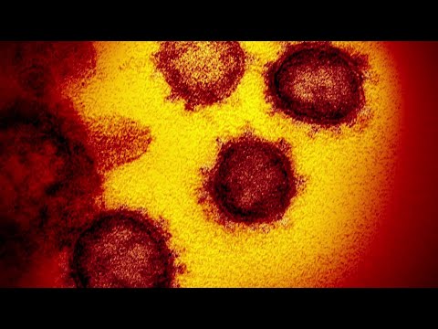 NYC New COVID Variant