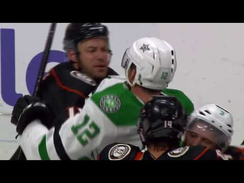 Ducks vs Stars post game brawl.
