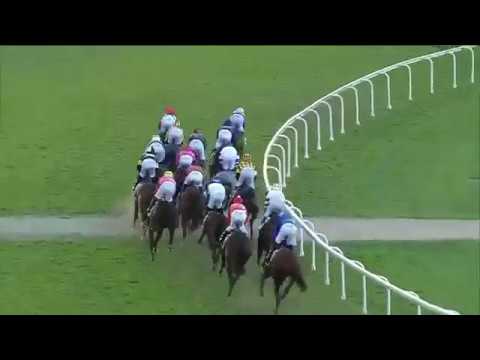 2017 QUEENSLAND OAKS - Egg Tart