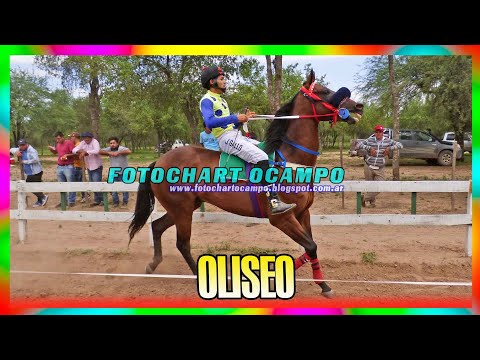 OLISEO - Campo Gallo - Santiago del Estero 23/12/2023