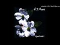 AJ Roach - Dimes