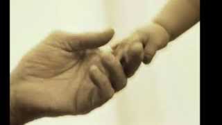 Tom de vida - Paz em suas mãos