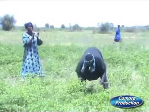 Samba vs his son soninkara